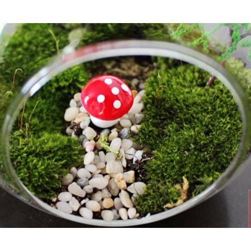 Cây Nấm Mini Bằng Xốp Trang Trí Sân Vườn Mới
