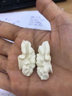 ÓC CHÓ VIỆT ĐIỆN BIÊN