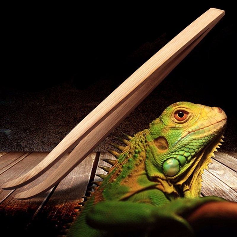 Kẹp Gắp Thức Ăn Bằng Tre Thân Thiện Với Môi Trường Cho Bò Sát 28cm Mới