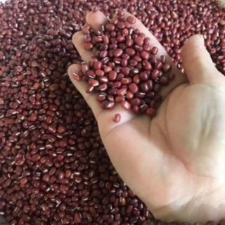 Bột đậu đỏ đắp mặt nạ_[100gr_15k]_tặng que quét mặt nạ