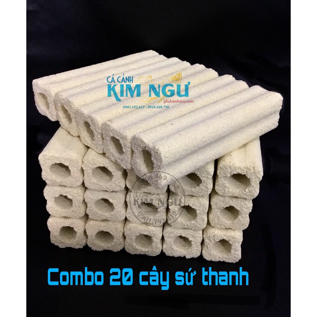 Combo 20 Cây Sứ Thanh Vàng Lọc Nước Hồ Cá 15*3.5*3.5cm