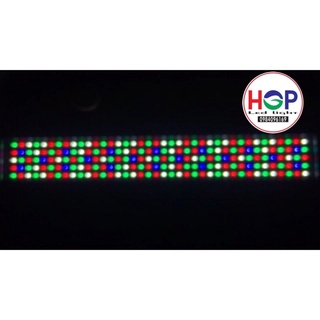 Đèn Led chế WRGB cho hồ cá thuỷ sinh HGP 2019