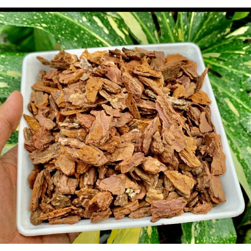 1Kg Vỏ Thông  Trồng Lan &Kiểng Lá