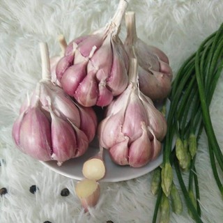 1kg tỏi bắc loại 1