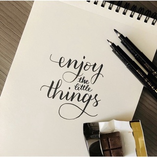 Bút lông Baoke ngòi cọ viết thư pháp - calligraphy HT035