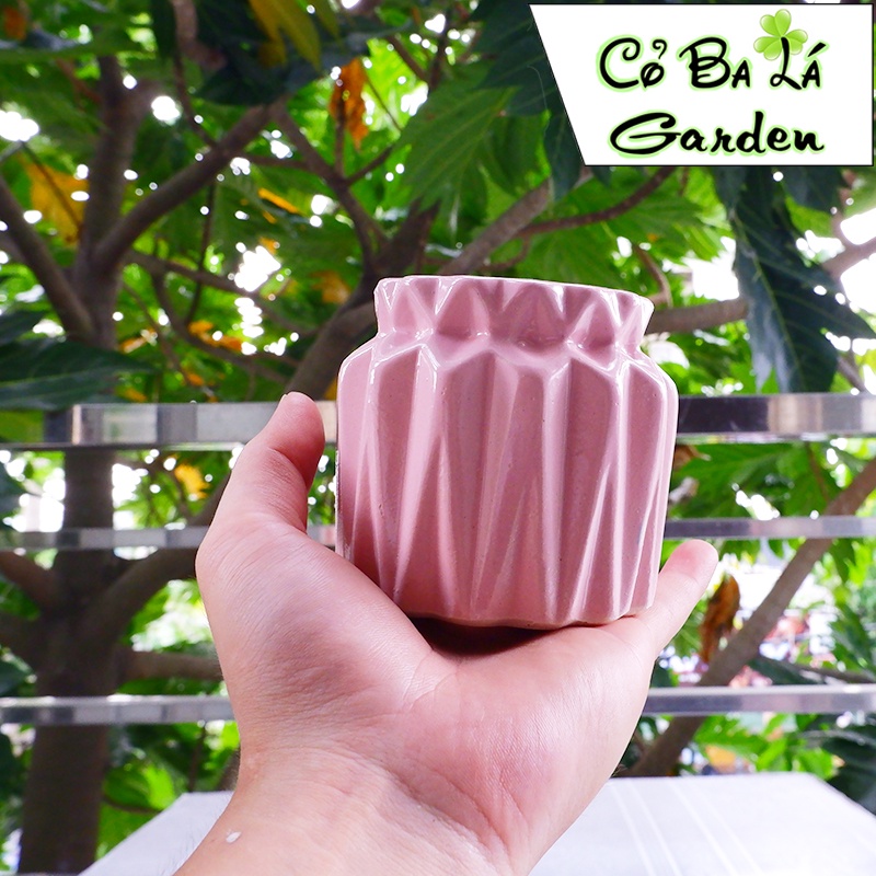 Chậy cây mini để bàn hình hũ tiền