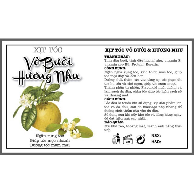 Tinh Dầu Bưởi Kích Thích Mọc Tóc Chai 100ml | BigBuy360 - bigbuy360.vn