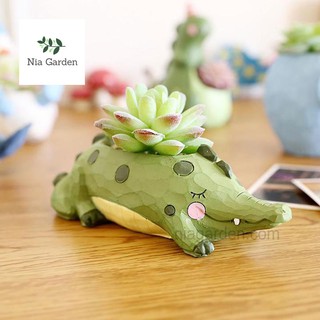 Chậu trồng cây hình thú - cá sấu