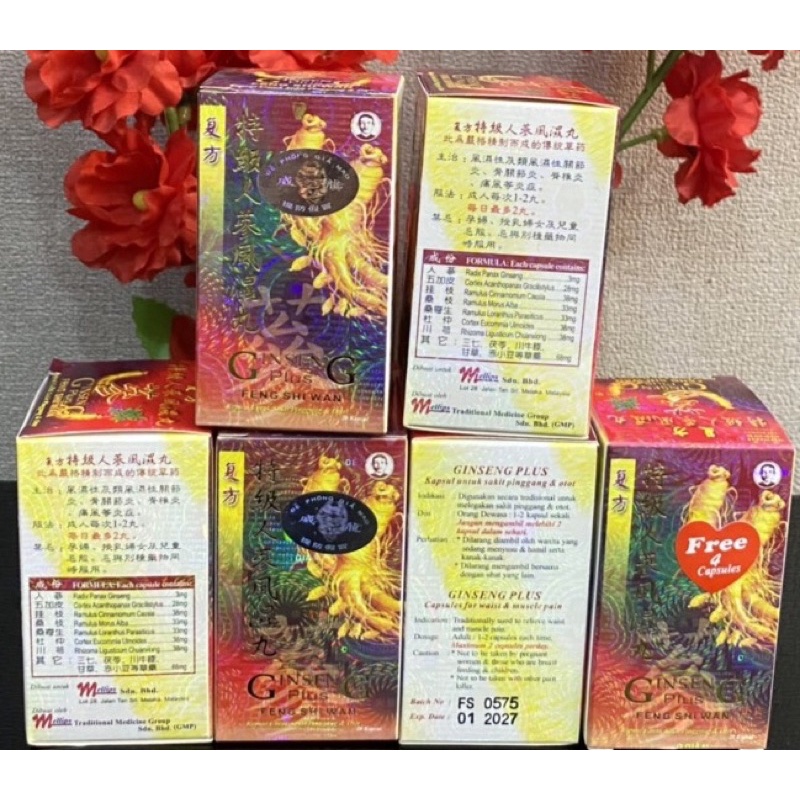 Đẳng Cấp Sâm Ginseng Plus Malaysia