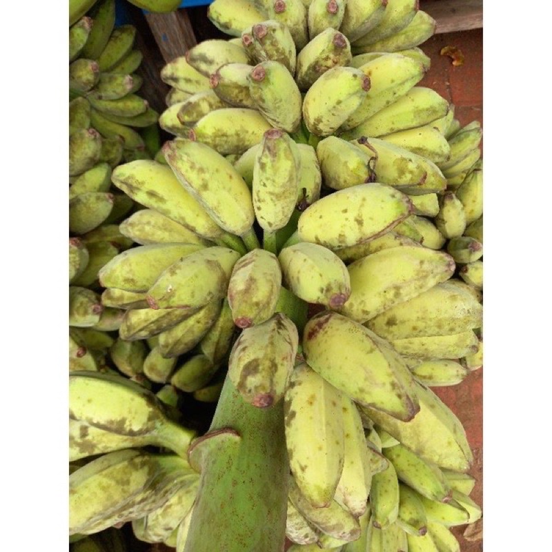 2KG CHUỐI SÁP NGHỆ BẾN TRE