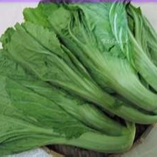 10gram HẠT GIỐNG CẢI BẸ DƯA