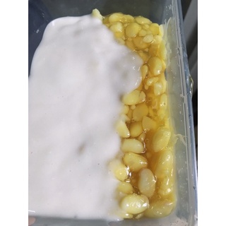 Chè Đậu Ván/500gr