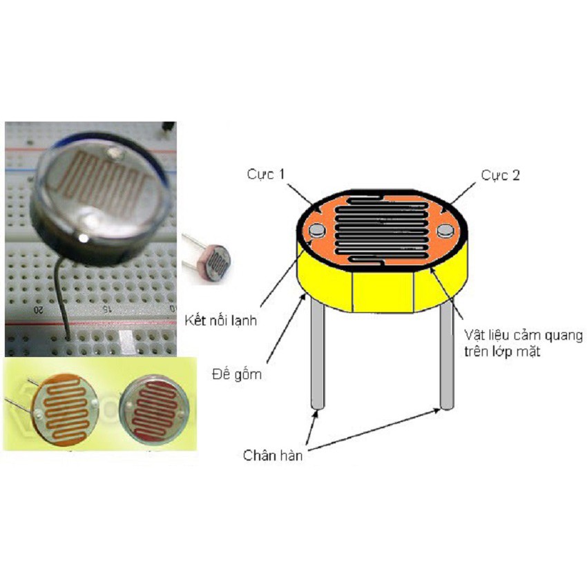 Bộ 2 cảm biến cường độ ánh sáng - Quang điện trở