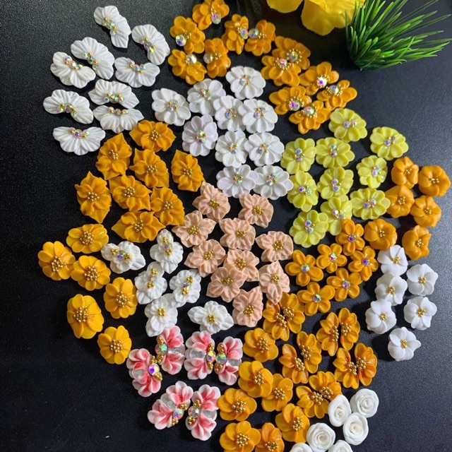 Hoa bột ôm móng NN