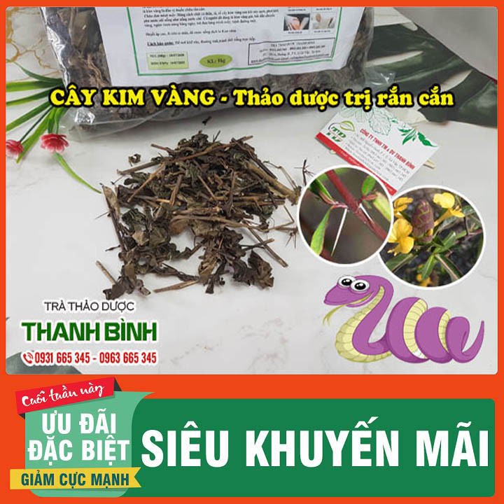 Cây Kim Vàng 500g Khô - Đông Y Thanh Bình