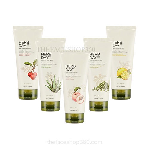 Sữa rửa mặt Herb Day 365 Master Blending Foaming Cleanser The Face Shop (170ml)