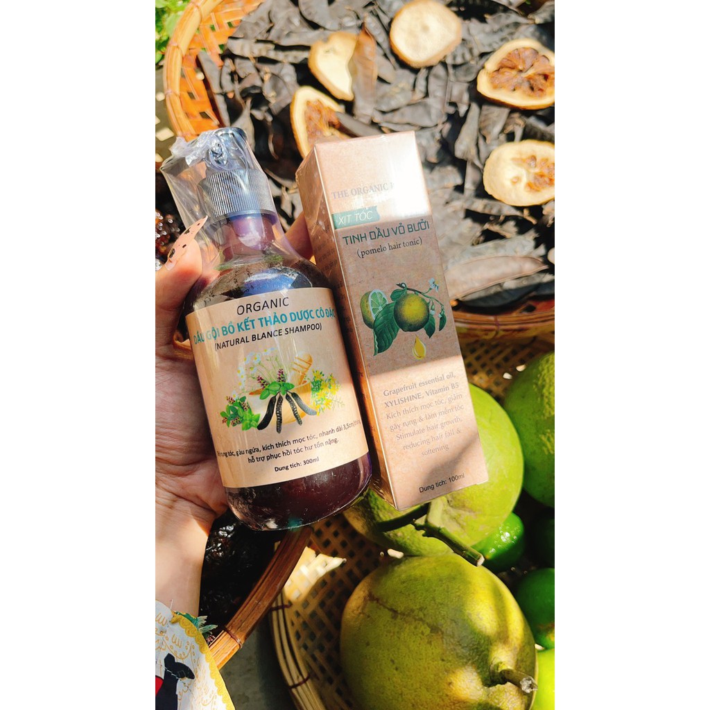 COMBO GỘI THẢO MỘC VÀ XỊT BƯỞI ORGANIC BEAUTY