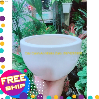 Chậu Trồng Cây