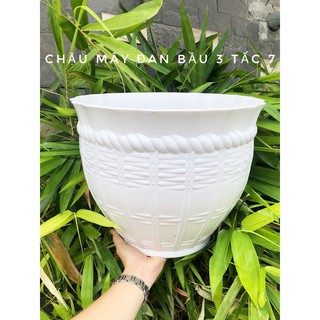 Chậu nhựa mây đan bầu 260