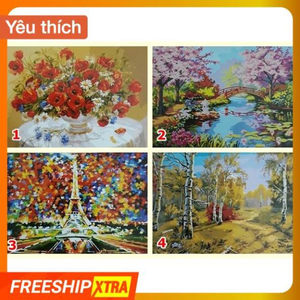 Tranh sơn dầu số hóa tự vẽ DIY 40x50cm nhiều mẫu