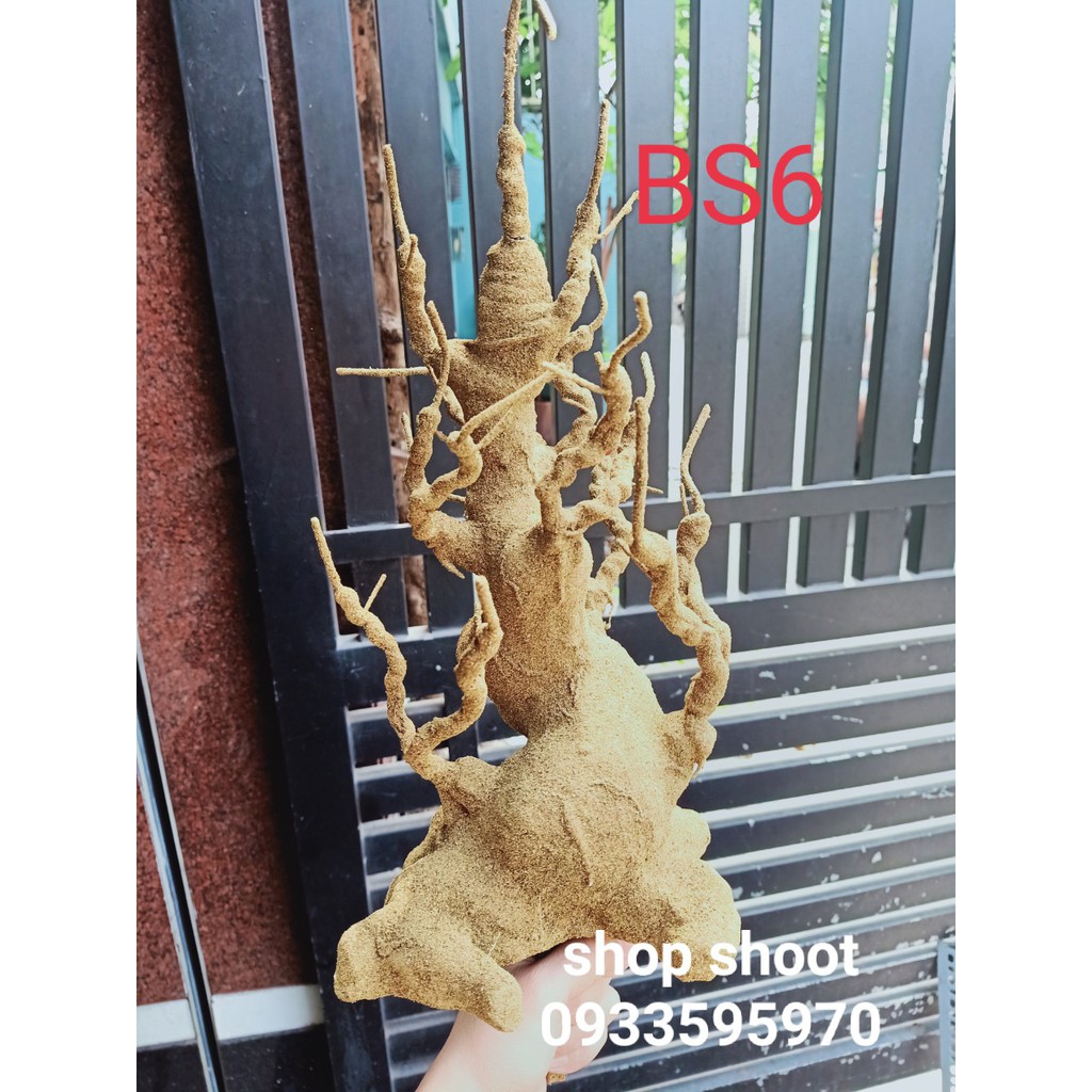 GỐC BONSAI BS6( CAO 40CM) LÀM THÂN MAI ĐÀO