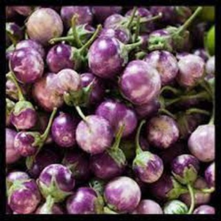 0.5gram HẠT GIỐNG CÀ PHÁO TÍM