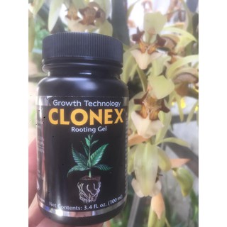 Gel Clonex hàng Mỹ chuyên dùng kích rễ trong ươm kei lan giâm, chiết cành