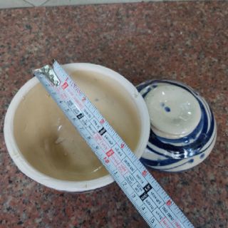Thố đất Việt