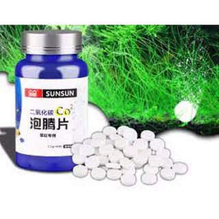 CO2 Dạng Viên Nén Cho Hồ Thủy Sinh (60 Viên/Hộp)