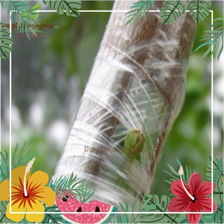 Hot Băng nilon ghép cây chuyên dụng chất lượng cực chuẩn.