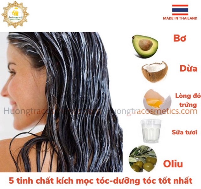 Bộ Dầu Gội-Xả Dữơng & Kích Mọc Tóc Tinh Chất Dừa Non BIO WAY (360ml x 2 chai)