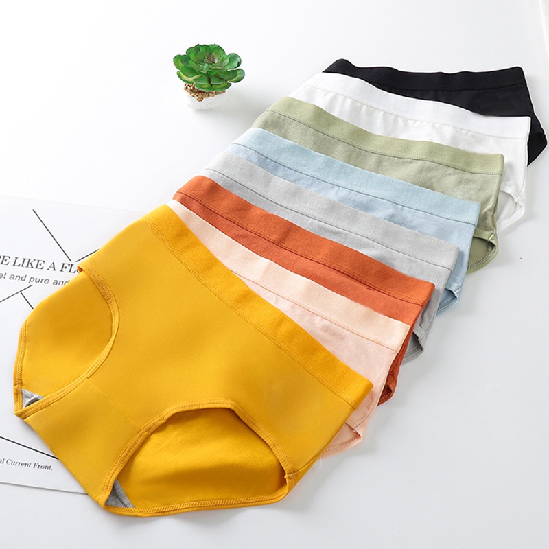 Quần Lót Cotton Không Đường May Lưng Vừa Thoáng Khí Có 8 Màu Quyến Rũ Dành Cho Nữ