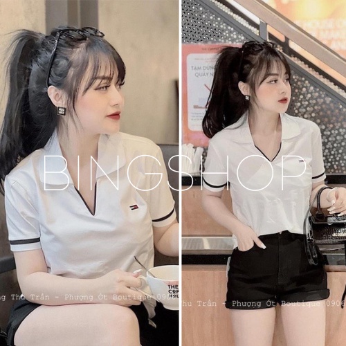 Áo polo nữ Bingshop cổ dệt bo len tay vải cá sấu cao cấp hàng có size