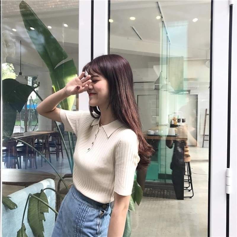 Áo polo nữ thun gân màu be DA391
