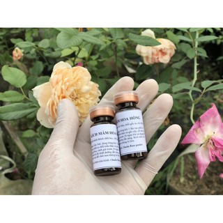 KÍCH MẦM HOA HỒNG
