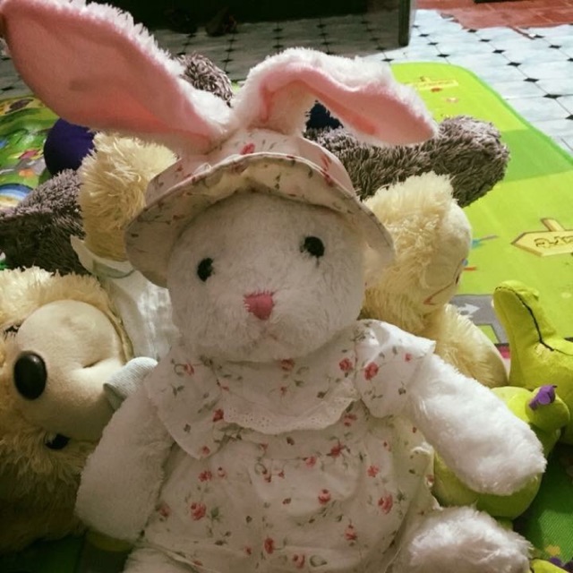 Gấu bông giá rẻ