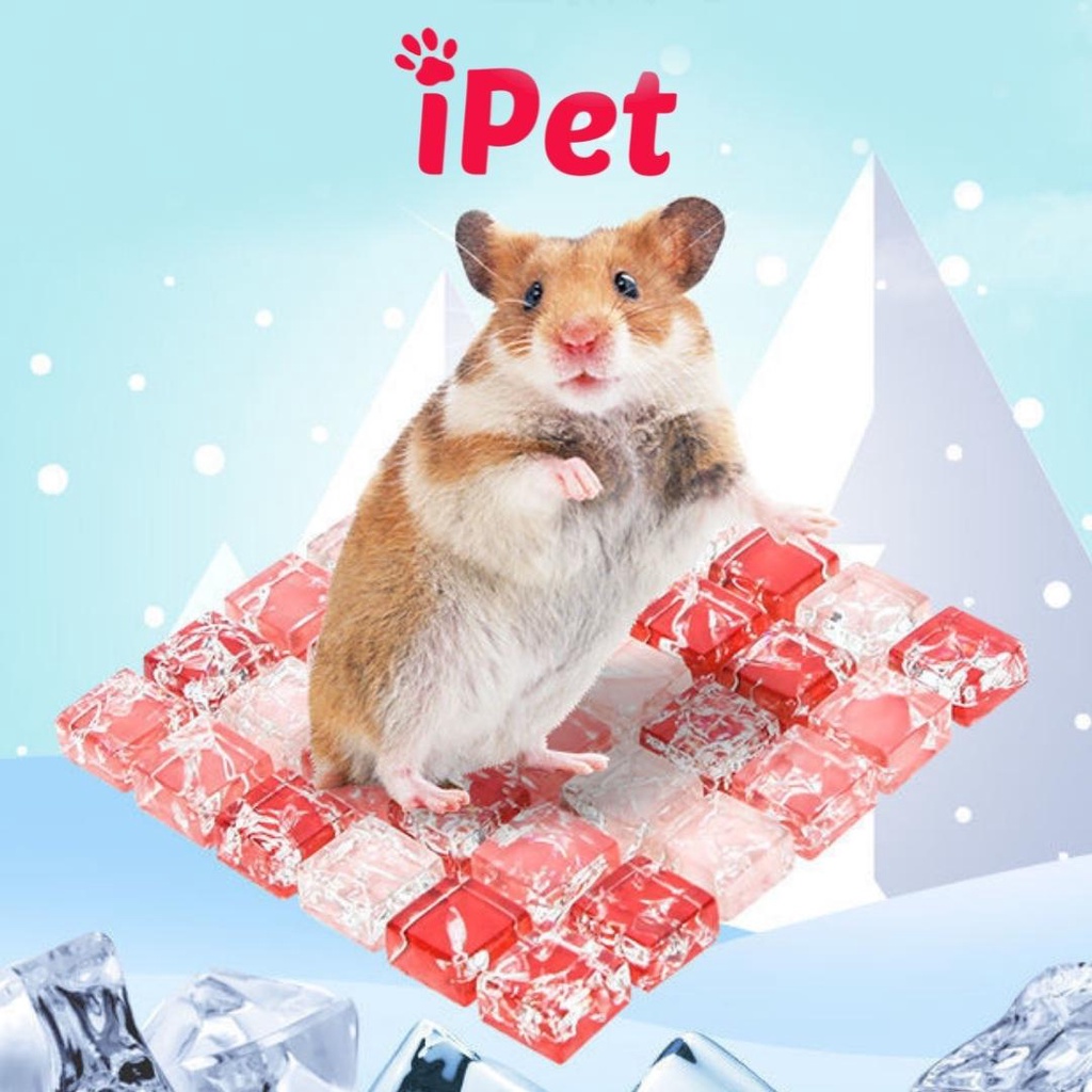 Đá Tản Nhiệt, Thảm Thủy Tinh Làm Mát Mùa Hè Phụ Kiện Cho Hamster - iPet Shop