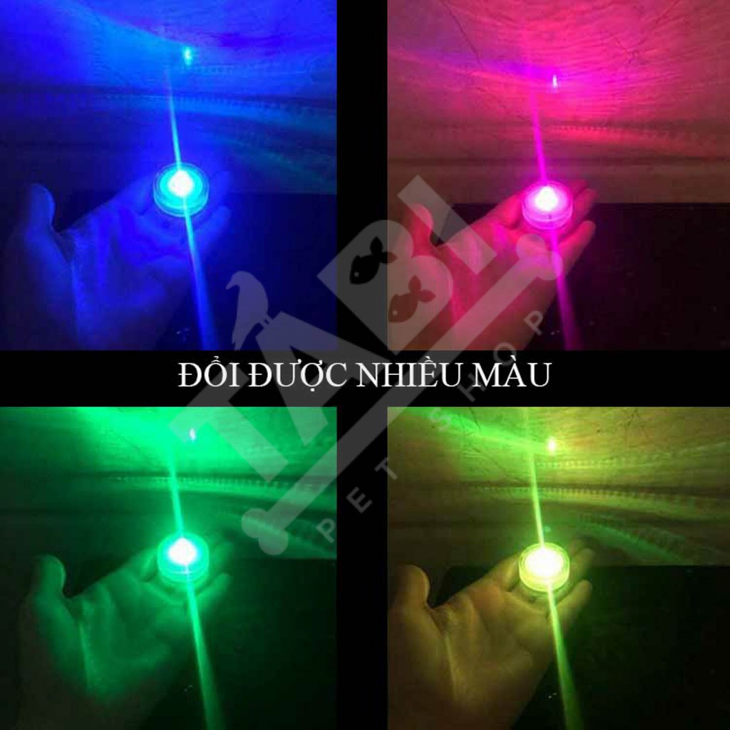 Đèn LED Mini Tròn Để Được Dưới Nước Trang Trí Bể Cá, Hồ Cá.