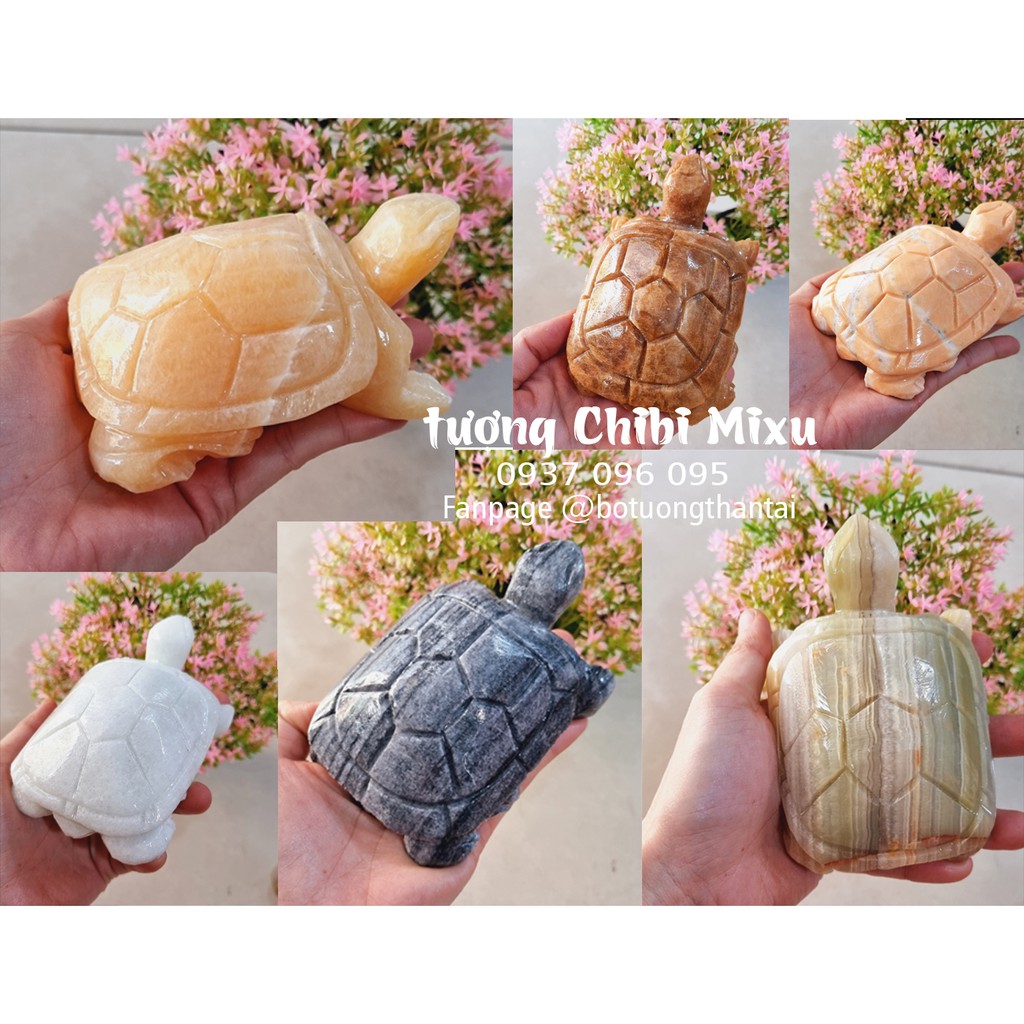 (Chọn màu) Cụ Rùa đá size 12cm