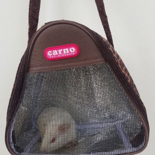 Túi đeo Pet tam giác