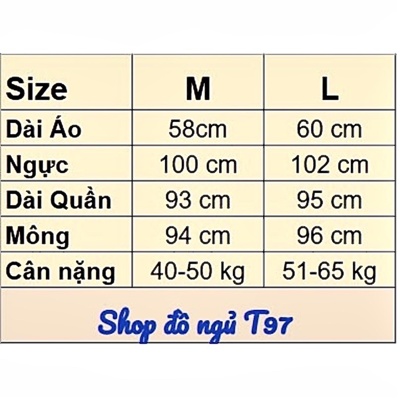 Bộ ngủ lụa dài tay T97 Bộ Pijama đồ mặc nhà chất liệu Lụa Satin phong cách Hàn Quốc | BigBuy360 - bigbuy360.vn