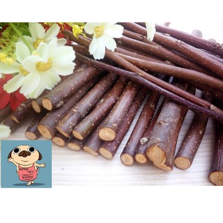 CÀNH TÁO MÀI RĂNG CHO THỎ, BỌ, HAMSTER