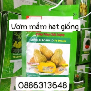 Giống bí đỏ hồ lô dream (10 hạt )