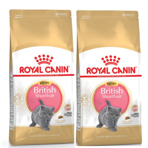 thức ăn hạt dành riêng cho mèo anh lông ngắn (British shorthair) Royal Canin