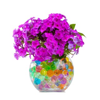 100 hạt nở ngậm nước nhiều màu sắc