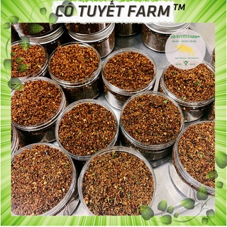 Chẩm chéo Tây Bắc hàng loại ngon nhiều hạt Mắc Khén, Hạt Dổi Nếp Rừng thơm lừng, hũ to