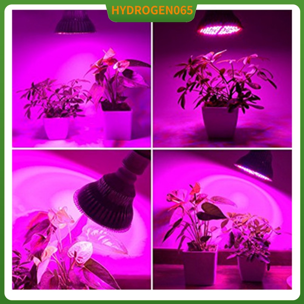 Quang phổ đầy đủ 150LED 100W E27 Đèn phát triển cây trồng cho Cây nhà kính Tăng trưởng Hoa 85-265V Hydrogen065