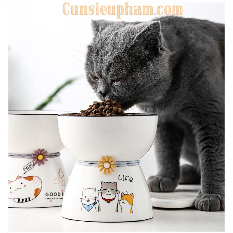 Khay ăn sứ tròn chống mỏi cổ cho mèo