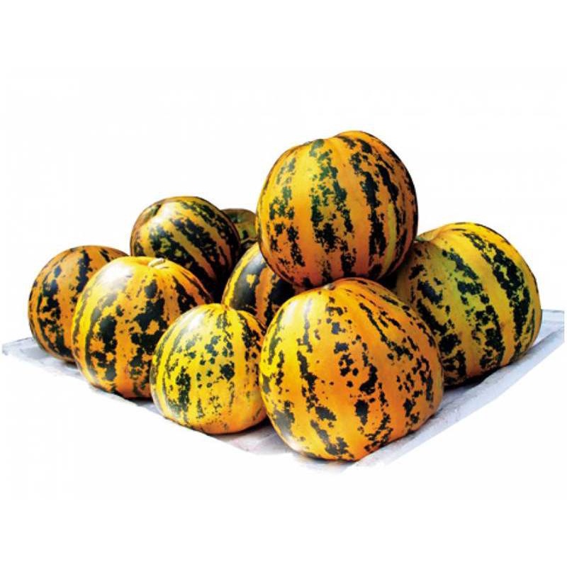 Viper 50EC 100ml là chế phẩm thuốc diệt côn trùng có công dụng diệt muỗi, ruồi, kiến, gián, bọ chét, sâu ăn lá, ve chó