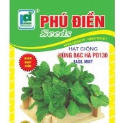 hạt giống Rau húng bạc hà